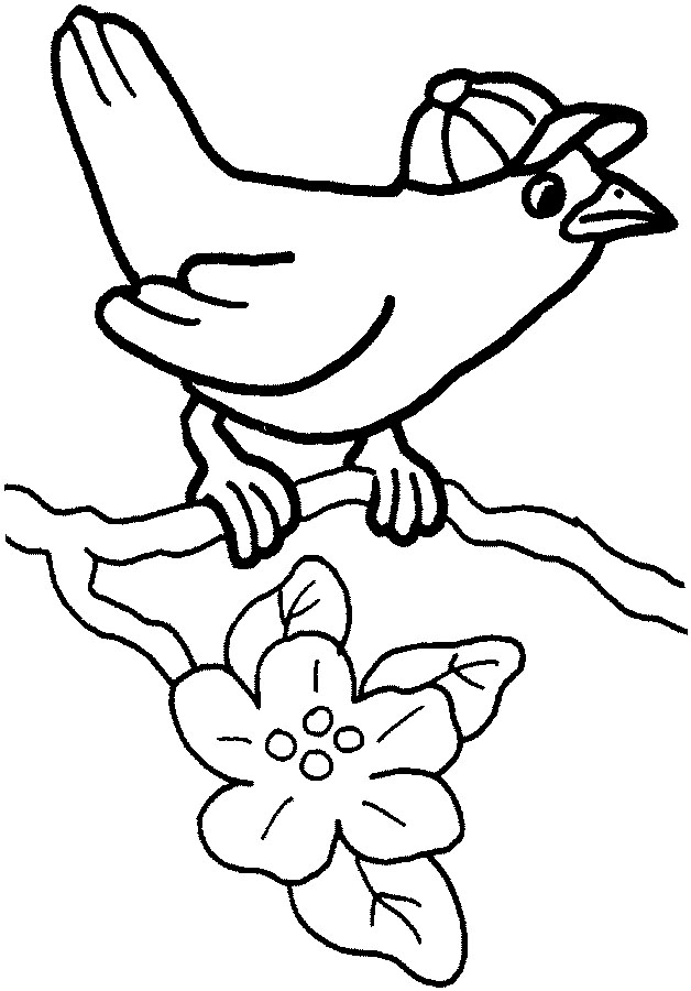 Aves #1177