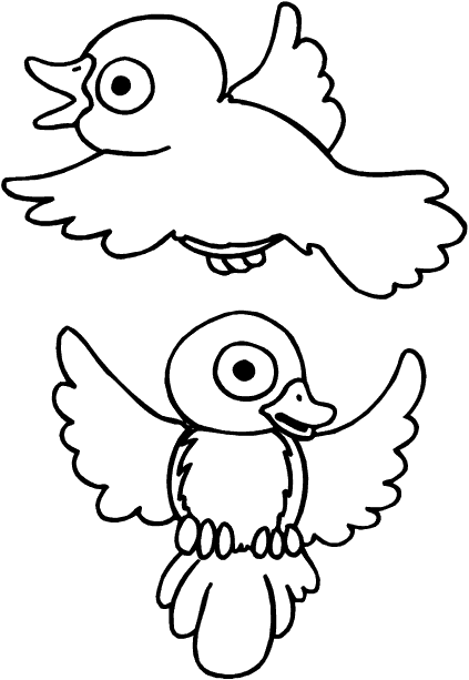 Aves #1186