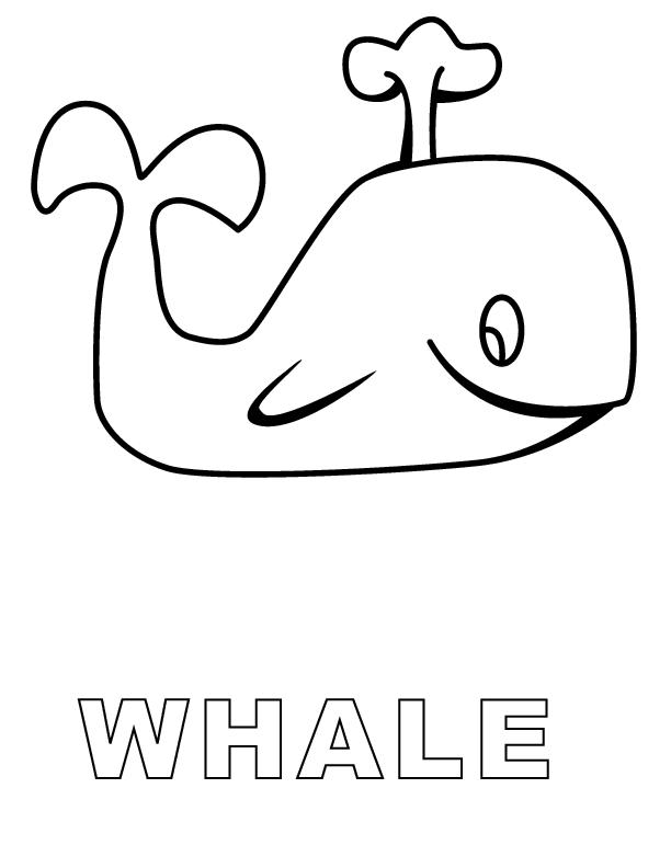 Ballena #1275
