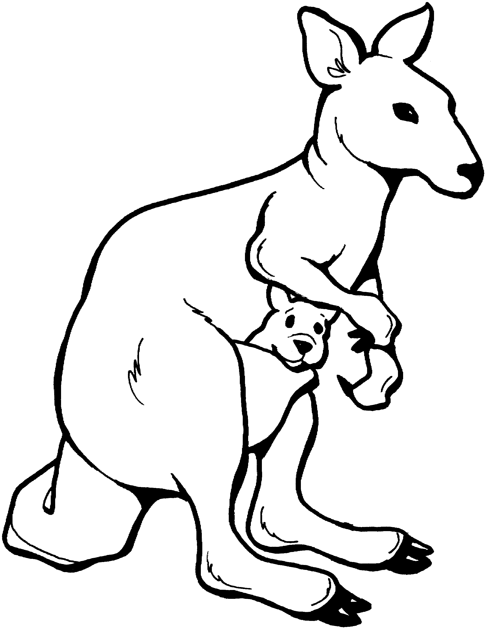 Canguro #2216