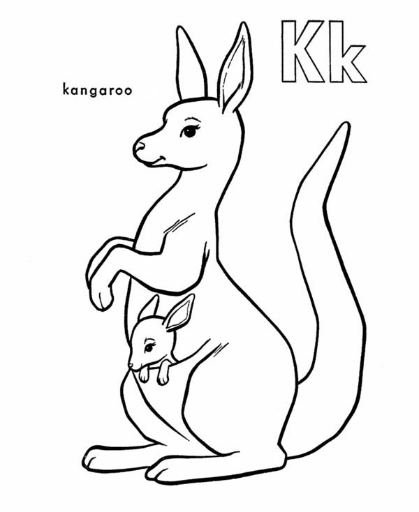 Canguro #2222