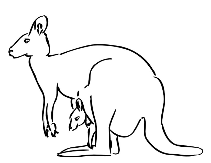 Canguro #2231