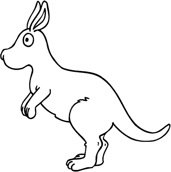Canguro #2256