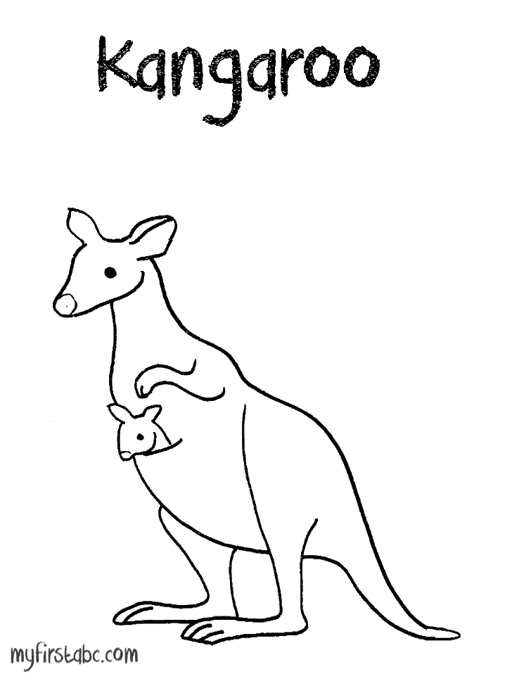 Canguro #2264