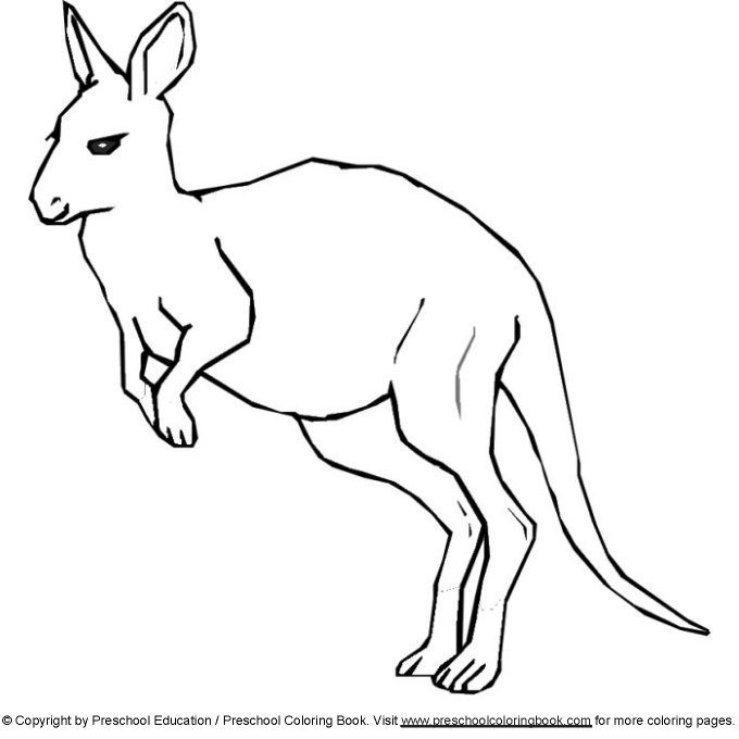 Canguro #2266