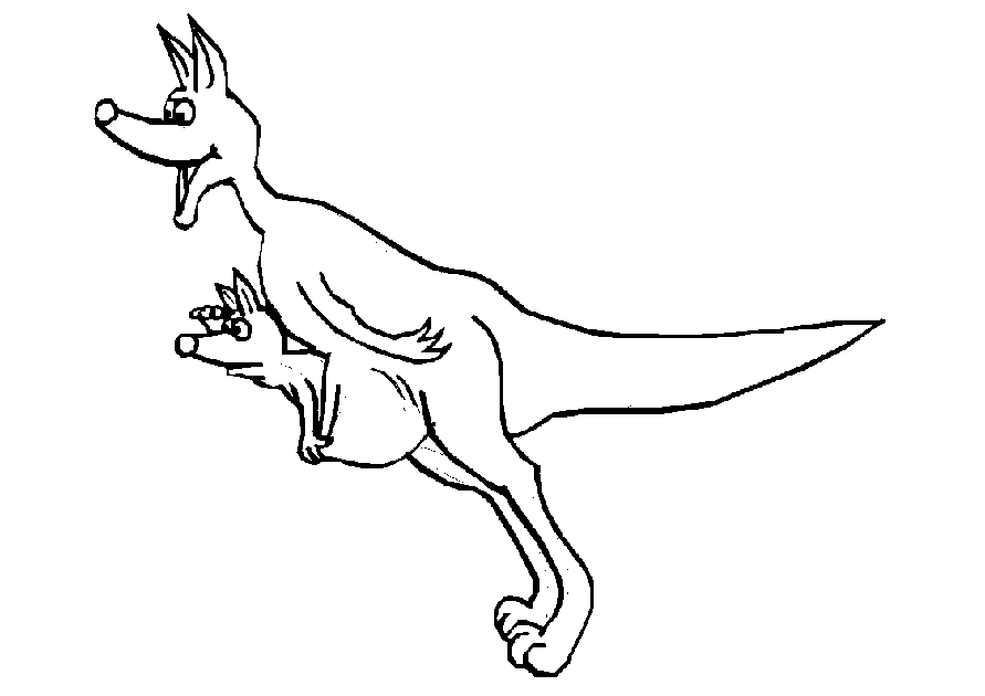 Canguro #2274