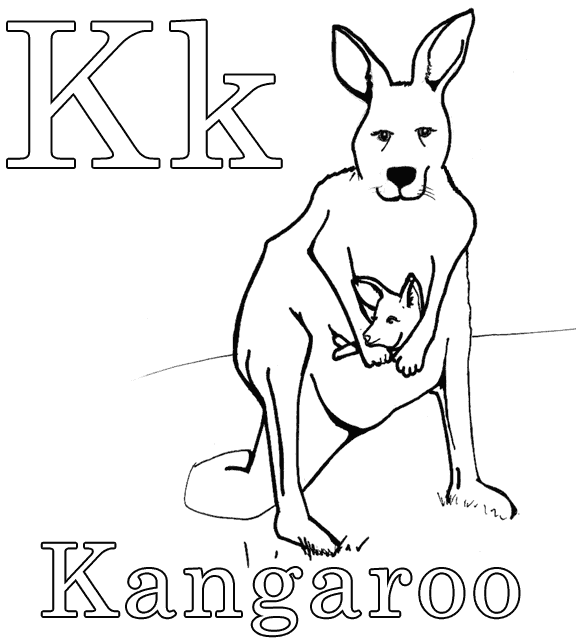Canguro #2279