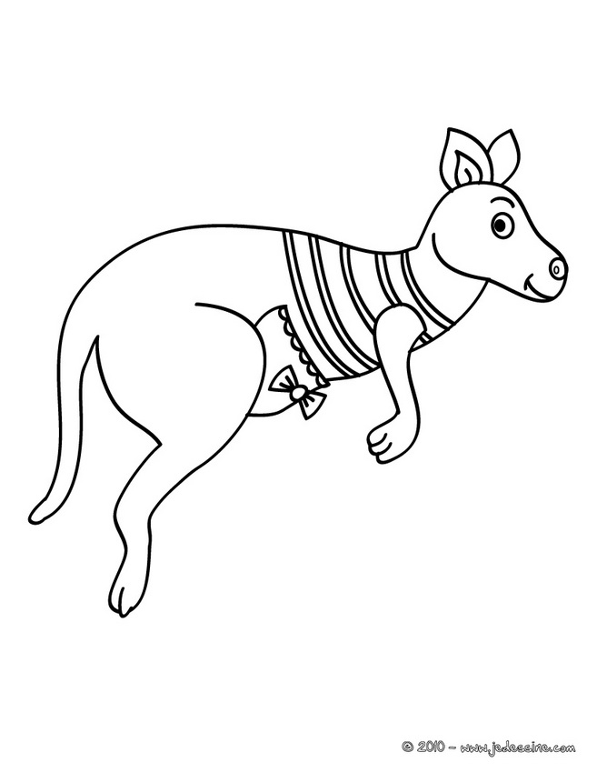 Canguro #2289