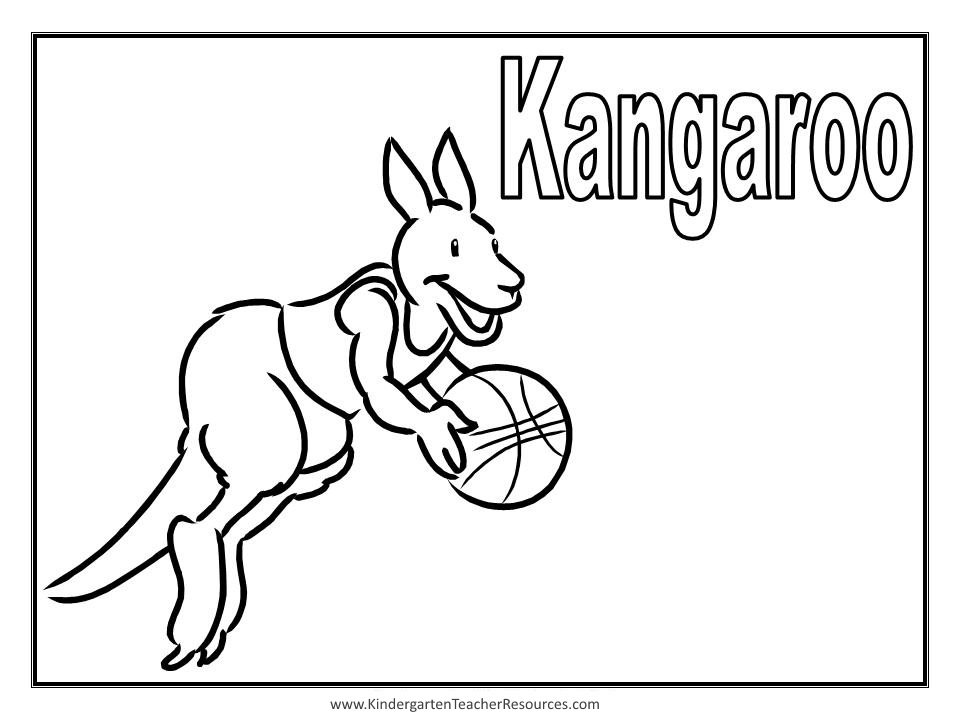 Canguro #2295