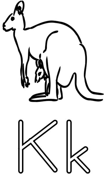 Canguro #2315