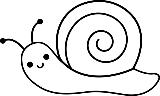 Caracol #2331