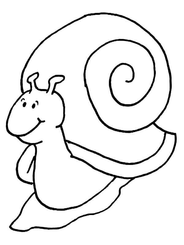Caracol #2334