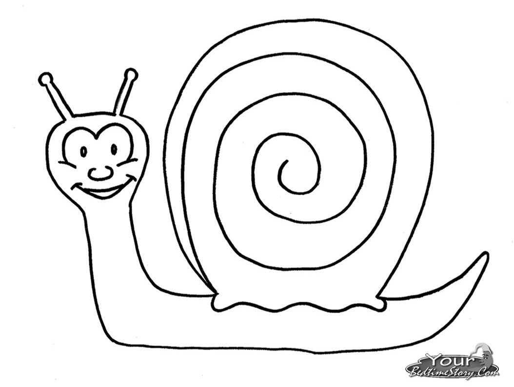 Caracol #2335