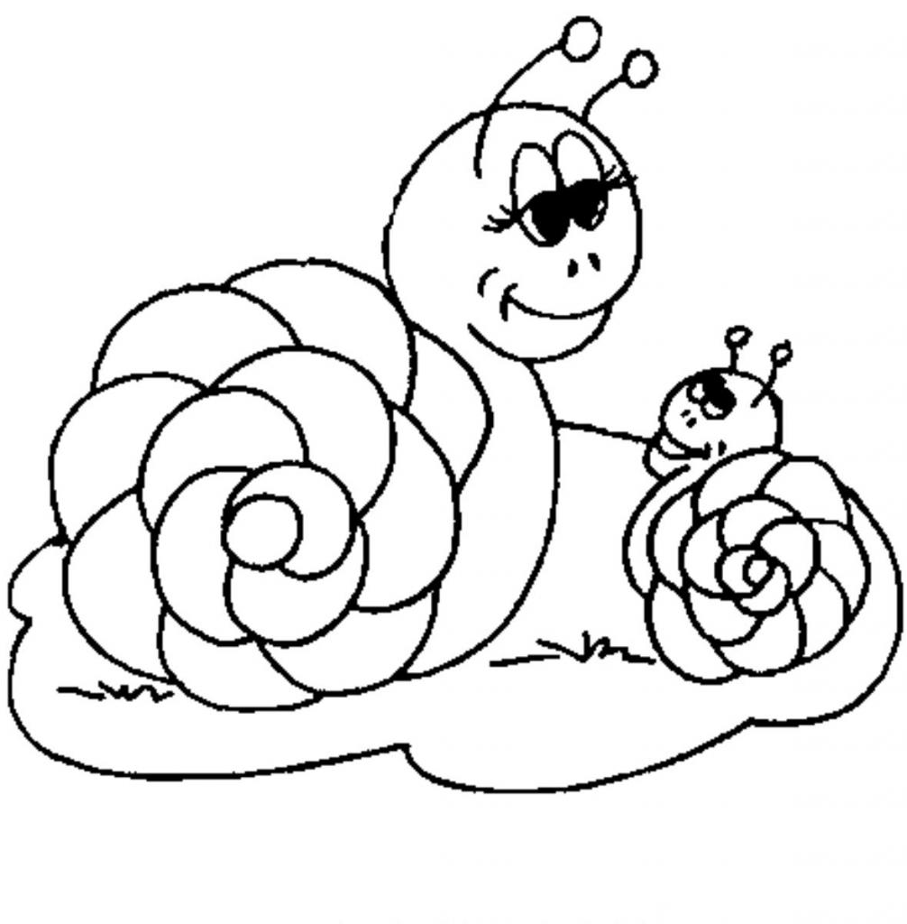 Caracol #2341