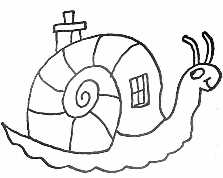Caracol #2342