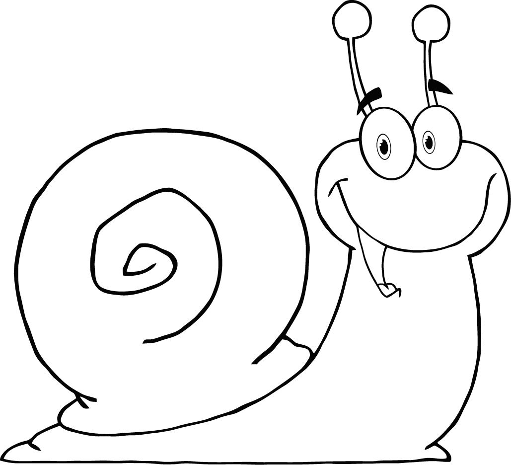 Caracol #2343