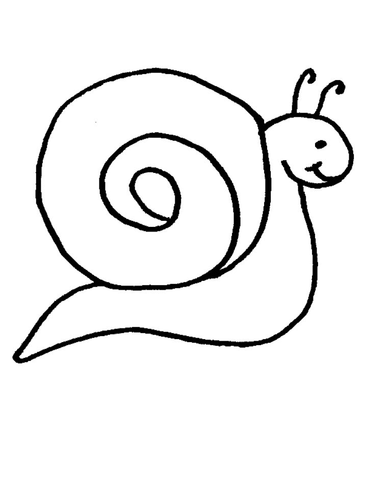 Caracol #2344