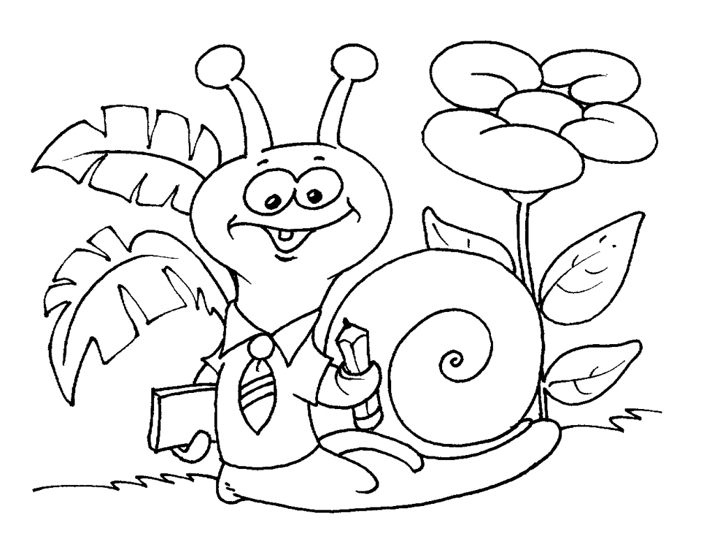 Caracol #2355