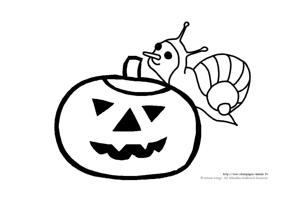 Caracol #2358