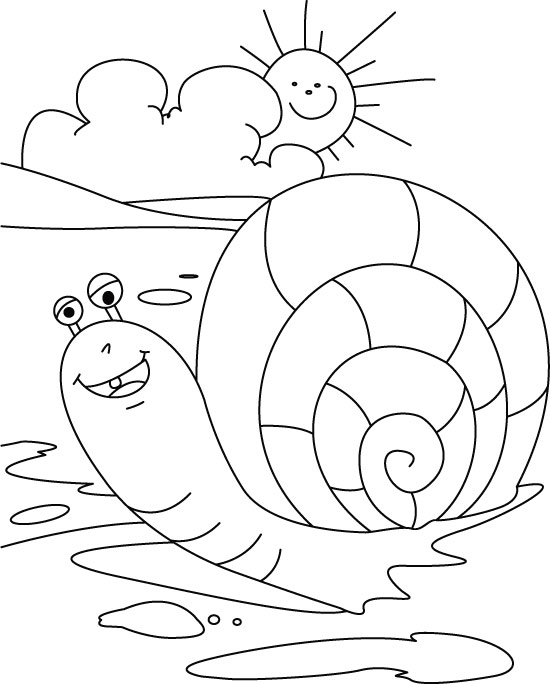 Caracol #2360
