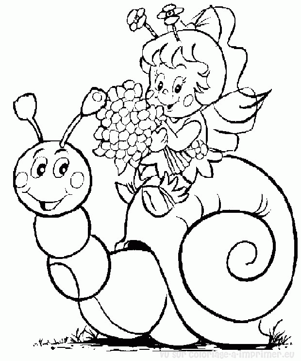 Caracol #2362