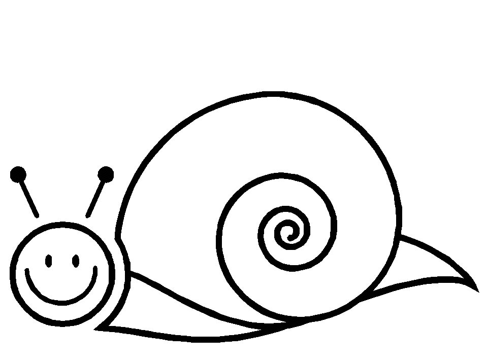 Caracol #2363