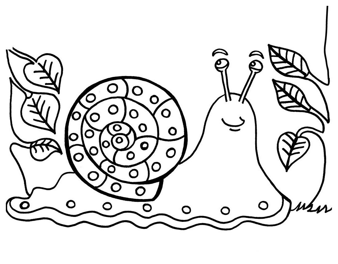 Caracol #2366