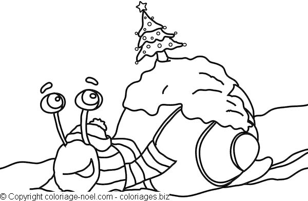 Caracol #2368