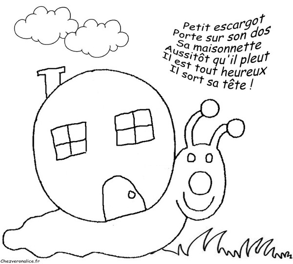Caracol #2375