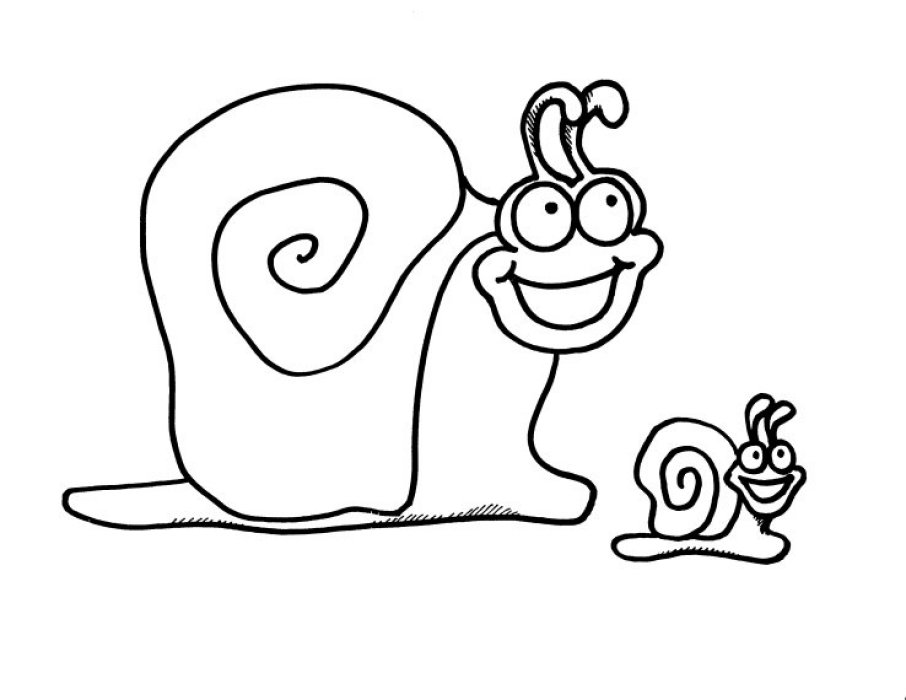 Caracol #2376