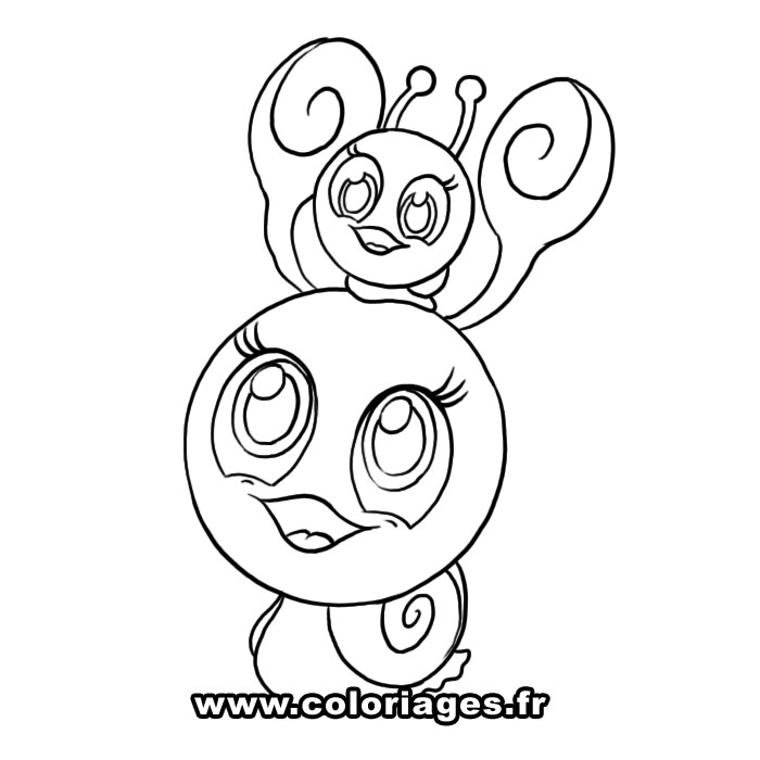 Caracol #2380