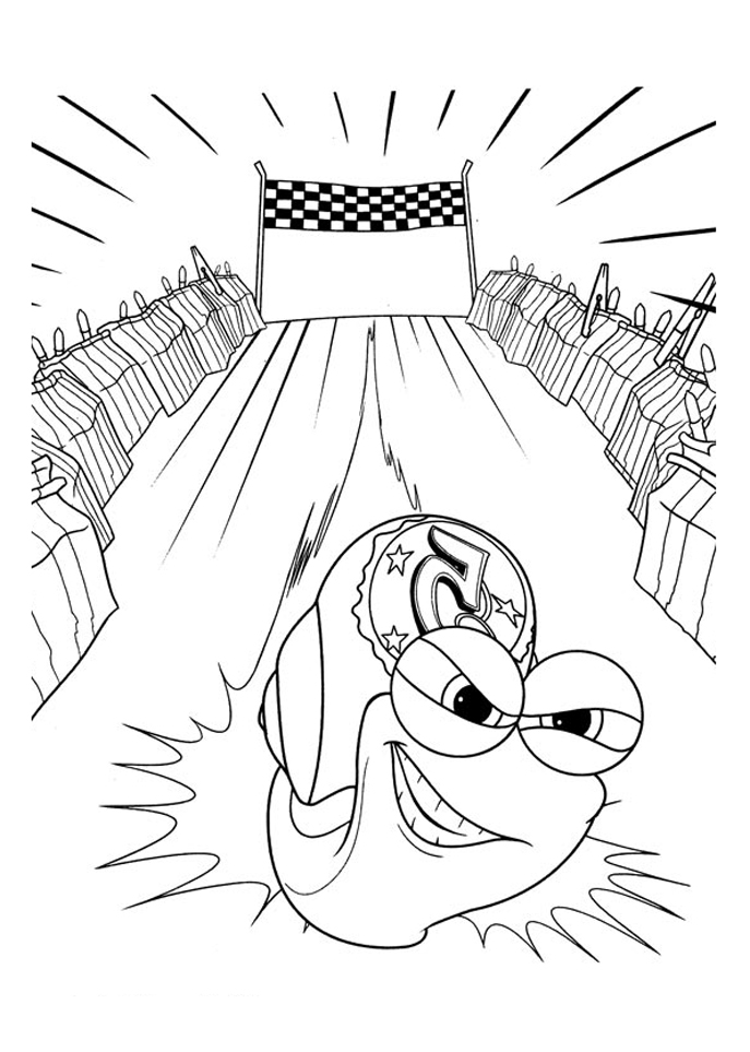 Caracol #2381
