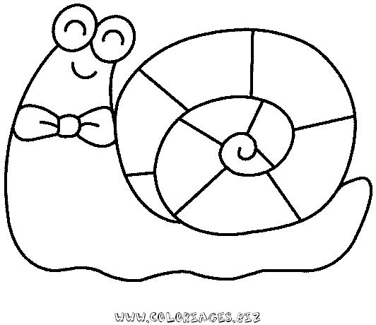 Caracol #2386