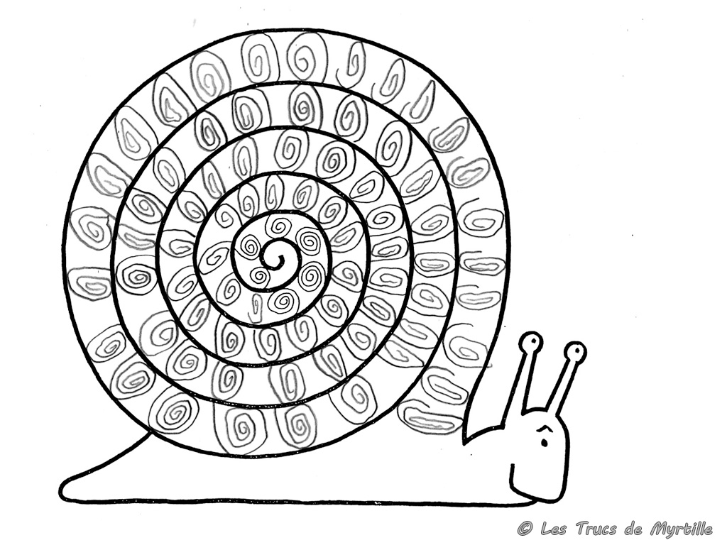 Caracol #2389