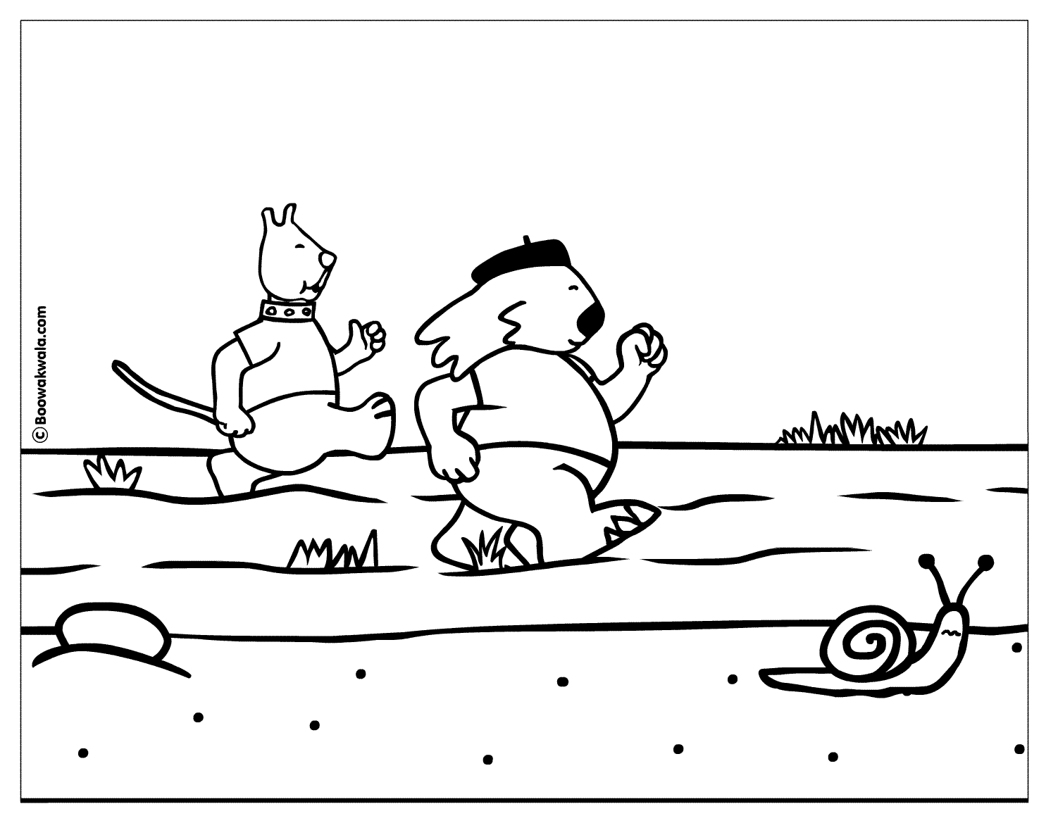 Caracol #2390
