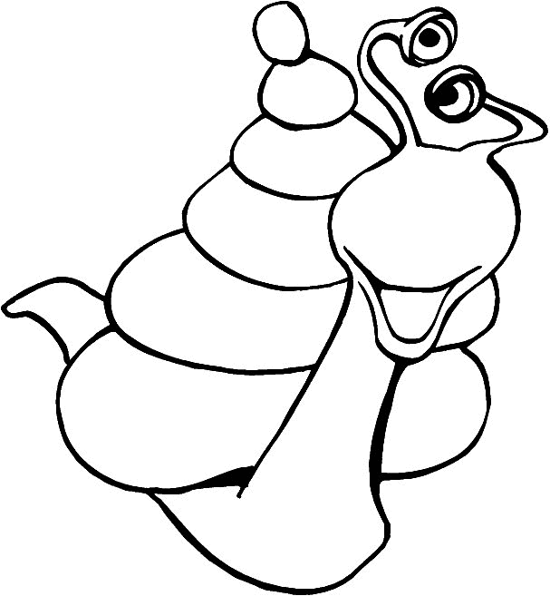 Caracol #2391