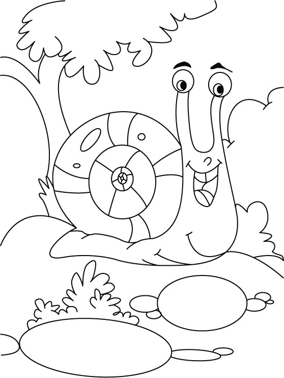 Caracol #2393