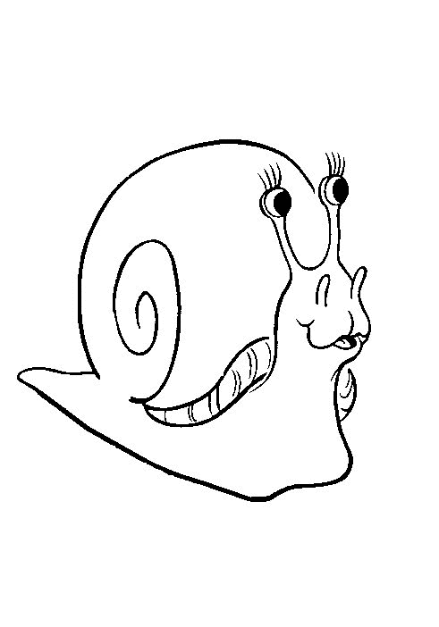Caracol #2394