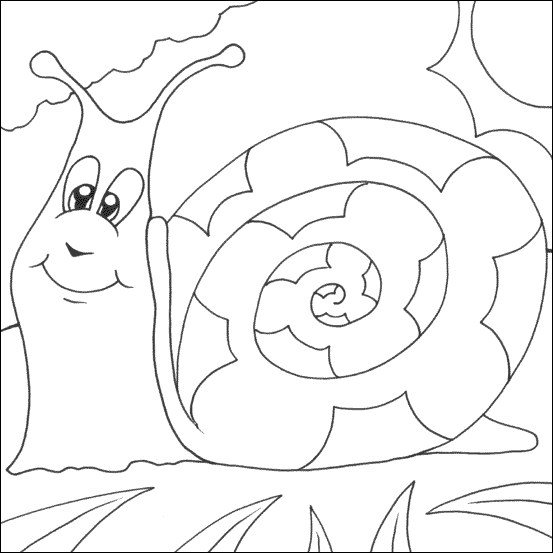 Caracol #2396