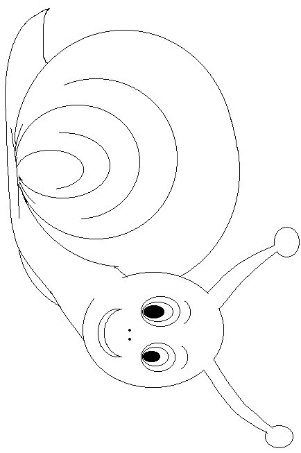 Caracol #2399