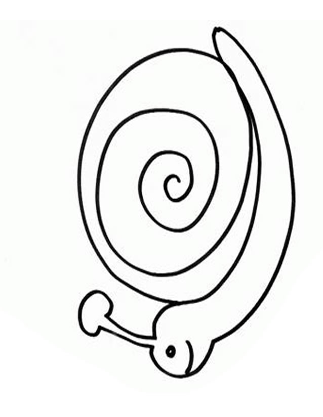 Caracol #2402