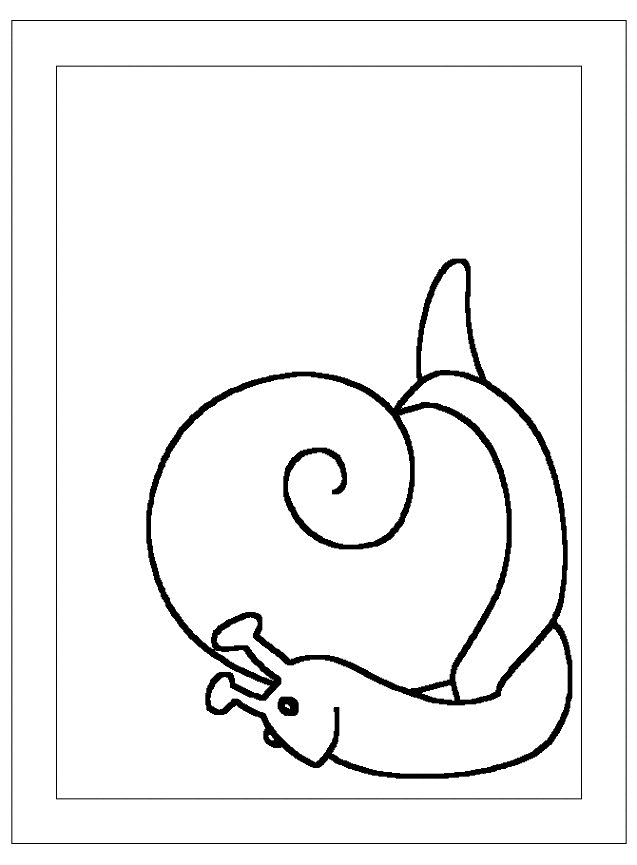 Caracol #2403