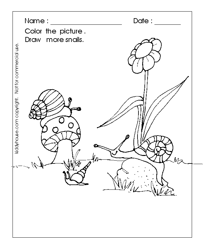 Caracol #2408