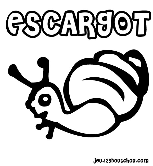 Caracol #2411