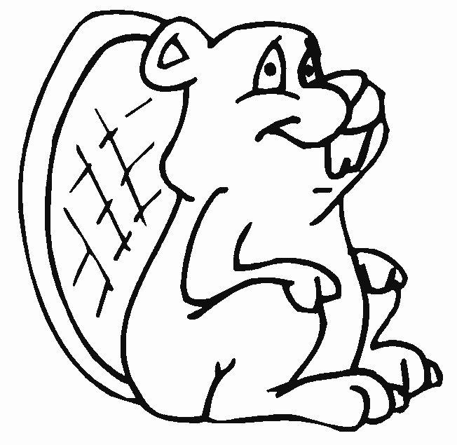 Castor #2442
