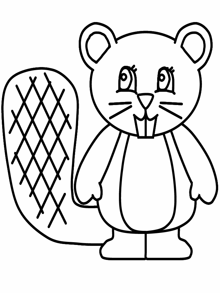 Castor #2443