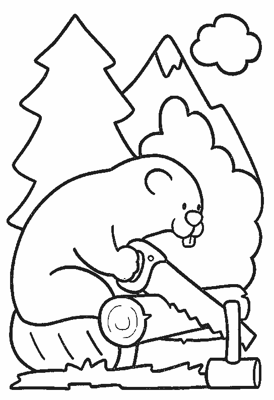 Castor #2450