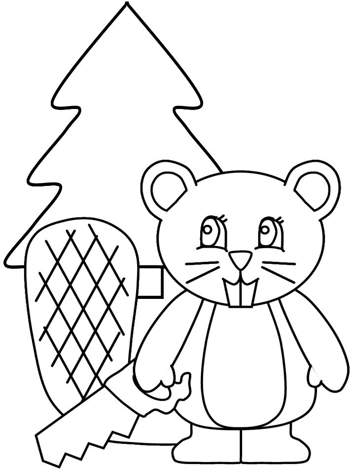 Castor #2453