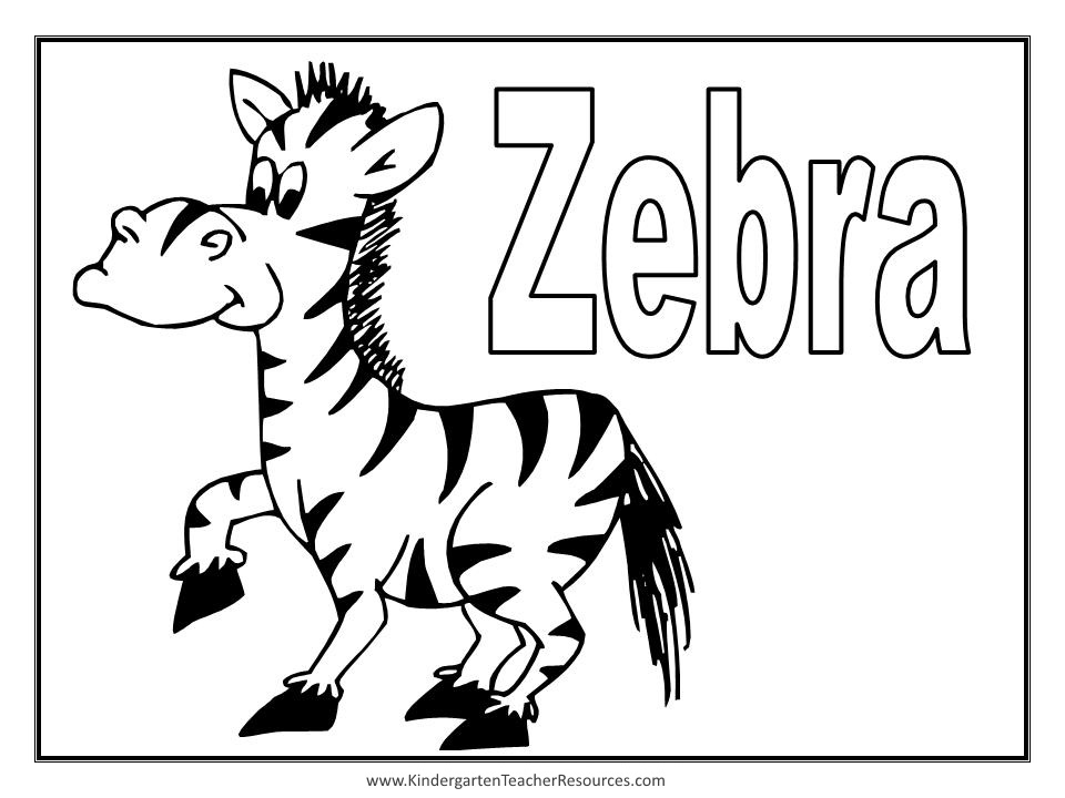 Cebra #2563