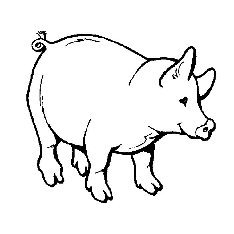 Cerdo #2597